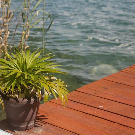 Seven Blue House Village & Lodge Bacalar Bagian luar foto